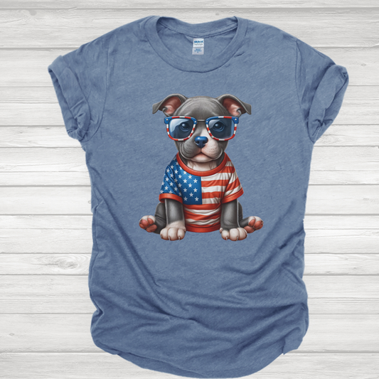 4th of July Pitbull